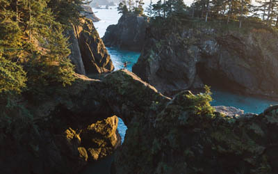 Supply Chain article